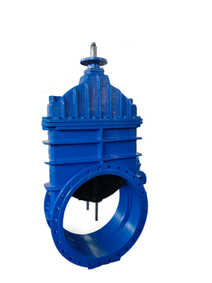 DN900 大口径软密封闸阀